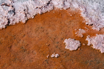 Closeup Salzsee