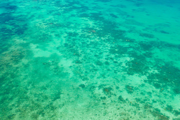 Fototapeta na wymiar Coral reefs and atolls in the tropical sea, top view. Turquoise sea water and beautiful shallows. Philippine nature. Sea surface.