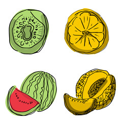 Vector set of fruit slices: watermelon,fruit, kiwi, pineapple, grapefruit, apple. Collection of summer food. Fresh fruits are isolated on white. Bright stickers for scrapbooking.