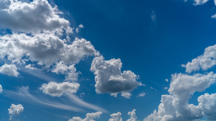 Naklejka na ściany i meble white clouds float across the blue sky