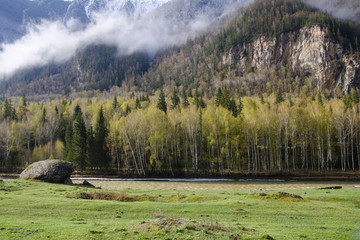 Mountainous landscape. Spring forest. View from Chuya tract. Altai Republic, Siberia, Russia.