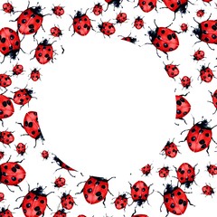  Beautiful red lady bug art illustration