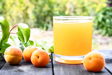 Fresh apricot juice and apricots on a table against the background of nature.