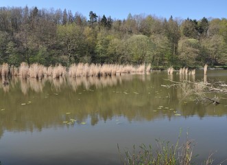 See bei Stedtfeld-Eisenach