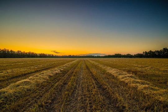 Sunrise over a freshly mown grain field © Venenum