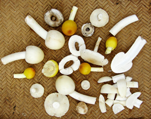 Fototapeta na wymiar natural white and yellow color mushroom in rainy season