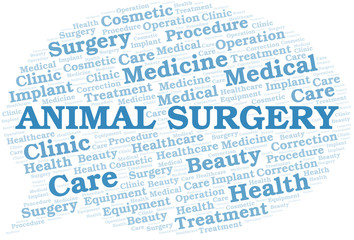 Animal Surgery word cloud vector made with text only.
