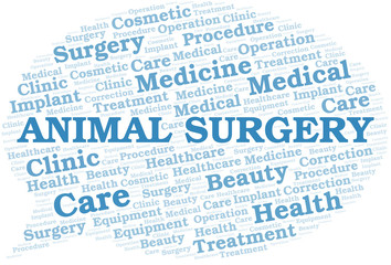 Fototapeta premium Animal Surgery word cloud vector made with text only.