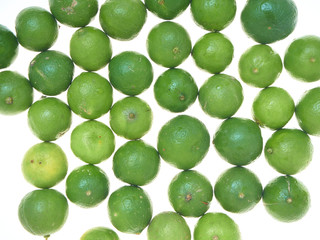 Multi-colored fresh lime on a white background