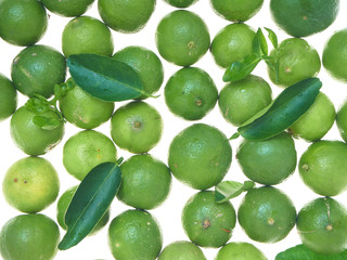 Multi-colored fresh lime on a white background