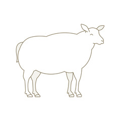 Sheep animal farm. Mutton breeding ewe. Wool lamb production. Yeanling. White fluffy lamb. Wool production. Line style. Outline contour vector illustration.