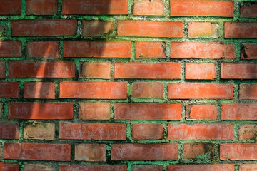 Obraz premium old red brick wall background