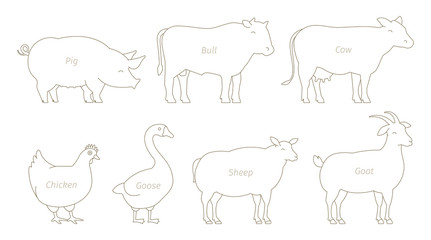 Farm Animal line set. Husbandry production. Cow and bull, duck and chicken. Sheep goat and pig. Outline contour line vector illustration.