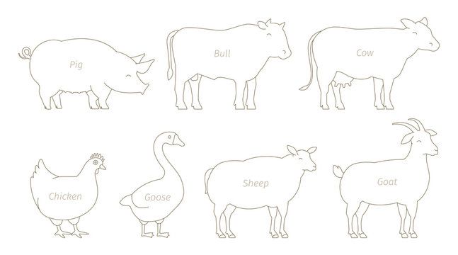 Farm Animal Line Set. Husbandry Production. Cow And Bull, Duck And Chicken. Sheep Goat And Pig. Outline Contour Line Vector Illustration.