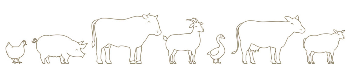 Farm Animal line set. Husbandry production. Cow and bull, duck and chicken. Sheep goat and pig. Outline contour line vector illustration. Horizontal head banner.