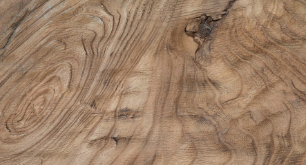 old rough woody wood background with cross section rings