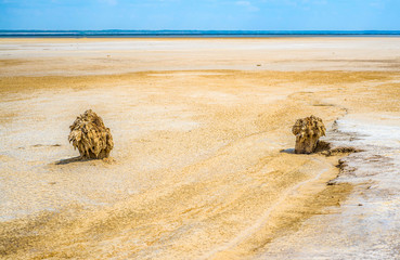Sandy coastline of the salty lake Baskunchak. Lifeless hot terrain without vegetation and animals.