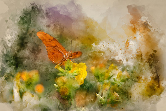 Digital watercolour painting of Julia butterfly lepidoptra nymphalidae butterfly on vibrant yellow flowers