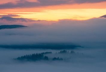 Naklejka na ściany i meble Sunrise in foggy mountains