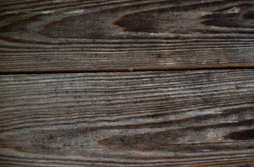 dark grey wooden larch background
