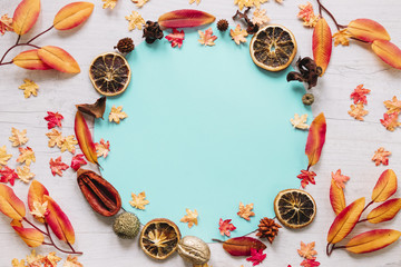 Composition of multicoloured leaves