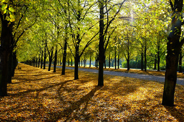 Hannover Georgengarten im Herbst