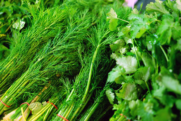 Fototapeta premium Bunches of fresh dill herb at the market