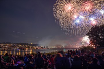 Seattle Gasworks fireworks