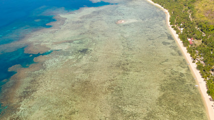 Seacoast with coral reef and white beach.Lagoon with coral reef and clear water, top view.aerial view