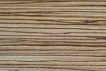 High resolution texture of natural wood Zebrano