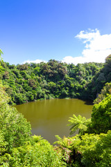 volcanic activities at waimangu