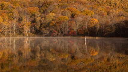 長野県 戸隠高原 鏡池 紅葉