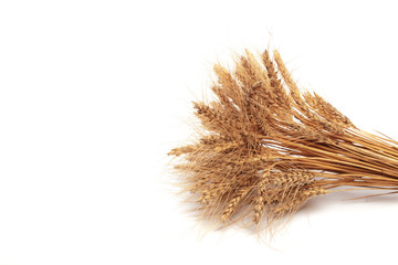 Wheat ears close up on white background .