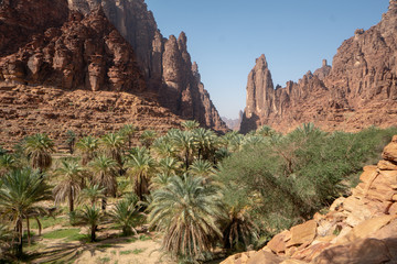 Fototapeta na wymiar Rock and oasis scenes in Wadi Disah in Tabuk Region, Saudi Arabia