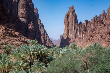 Rock and oasis scenes in Wadi Disah in Tabuk Region, Saudi Arabia