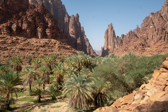 Rock and oasis scenes in Wadi Disah in Tabuk Region, Saudi Arabia