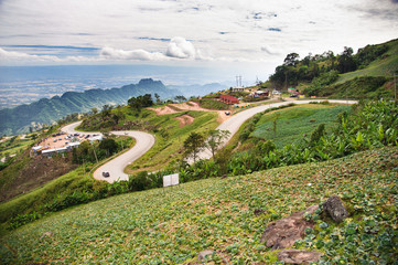 A mountain scenery of Phu Tub Berk, one of the most popular place in winter of  Thailand
