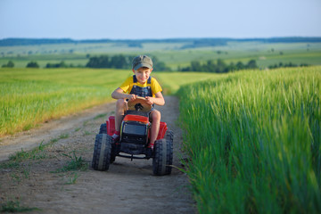 Little boy farmer on a tractor among green grain fields