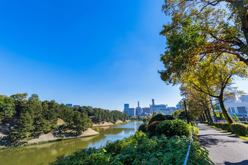 内堀通り 桜田濠の風景