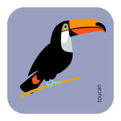 Cute toucan graphic vector isolated. South America fauna. Wild animal illustration for zoo ad, nature concept, children book illustrating. Black and white graphic decorative image .