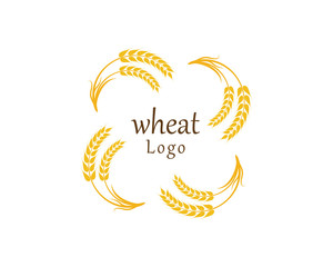 Agriculture wheat Logo Template vector icon