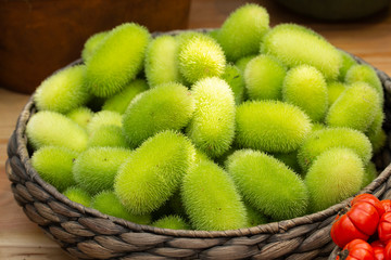 Cucumis dipsaceus. Green fruits of wild cucumber with villus lengths in a wicker basket. Hedgehog...