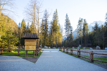 On the way to Sea Eye in Poland. Road in the forest. Tatry.