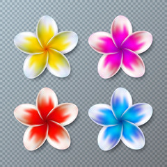 Naklejka premium Vector Illustration with Colorful Plumeria Flower Collection Isolated on Transparent Background. Vector Holiday Design Elemets with Hawaiian Tropical Flowers Set for Banner, Flyer, Invitation