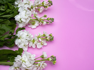 Naklejka na ściany i meble Beautiful romantic bouquet of delicate flowers. Copy space.