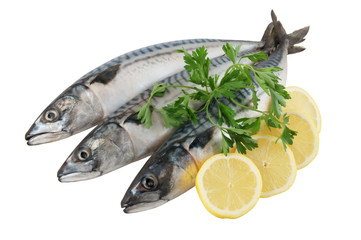 Mackerel fish with lemon slices and parsley isolated on white background