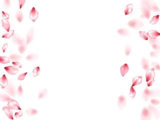 Pink sakura flower flying petals isolated on white vector background.