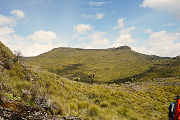 Fototapeta na wymiar Open landscape of the Aberdare mountain range in Kenya