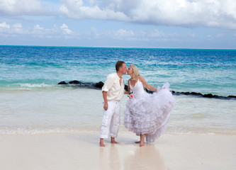 Fototapeta na wymiar The groom and the bride on the tropical beach