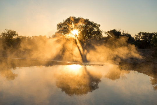Carcoory  artesian  bore in western Queensland, Australia.